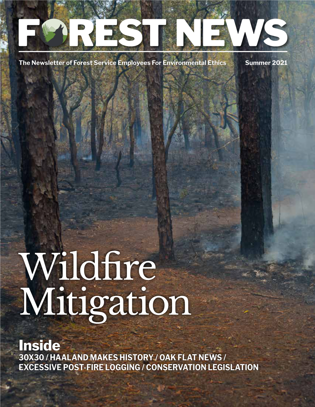 Wildfire Mitigation