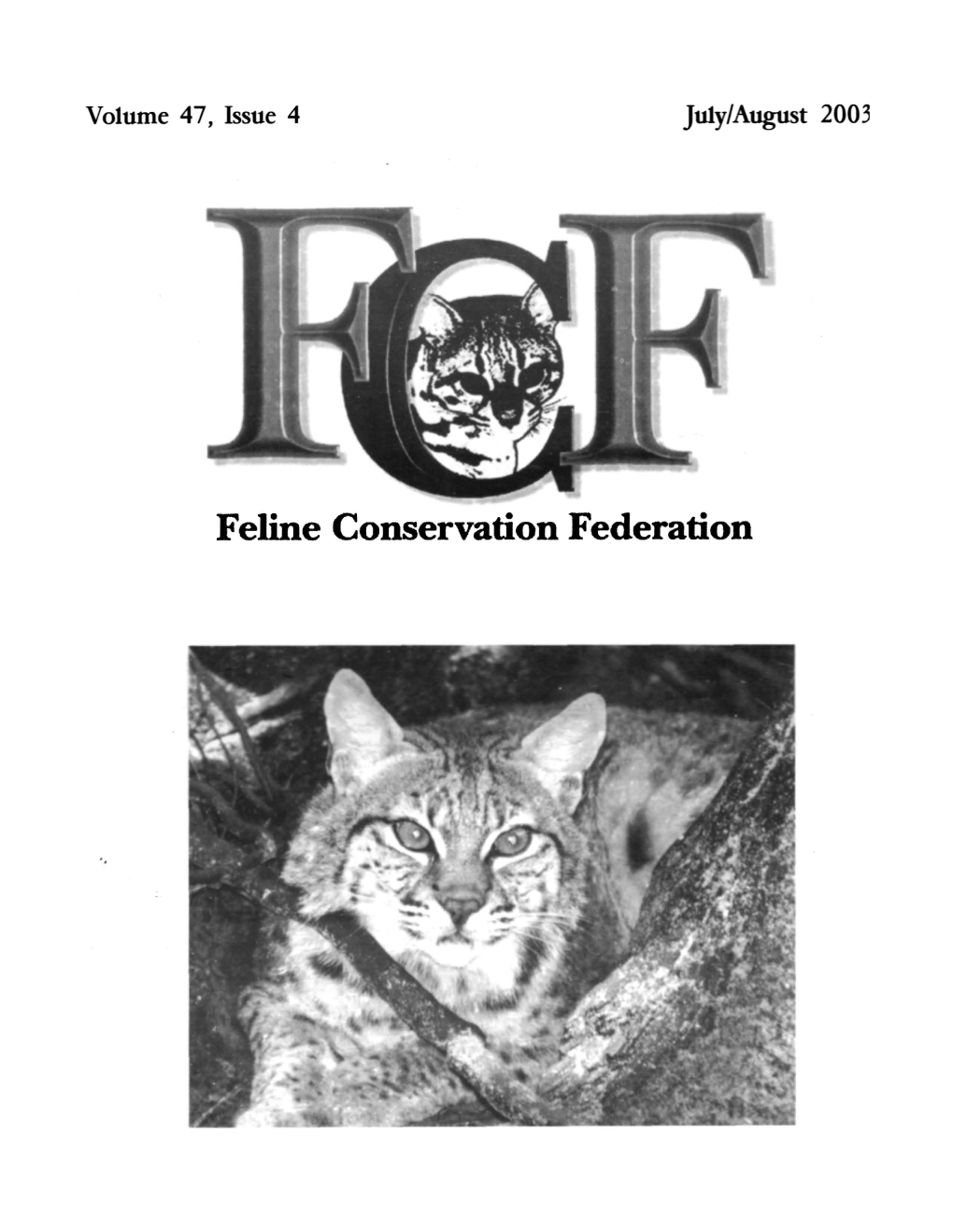 About Wild Cat Field Research by Timothy John Mallow, Coryi Foundation, Inc