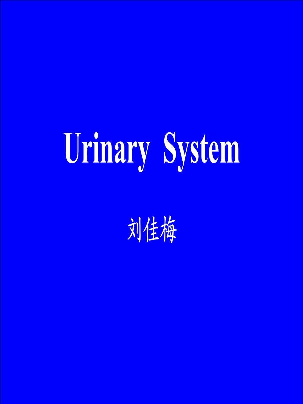 泌尿系统 （Uniary System）