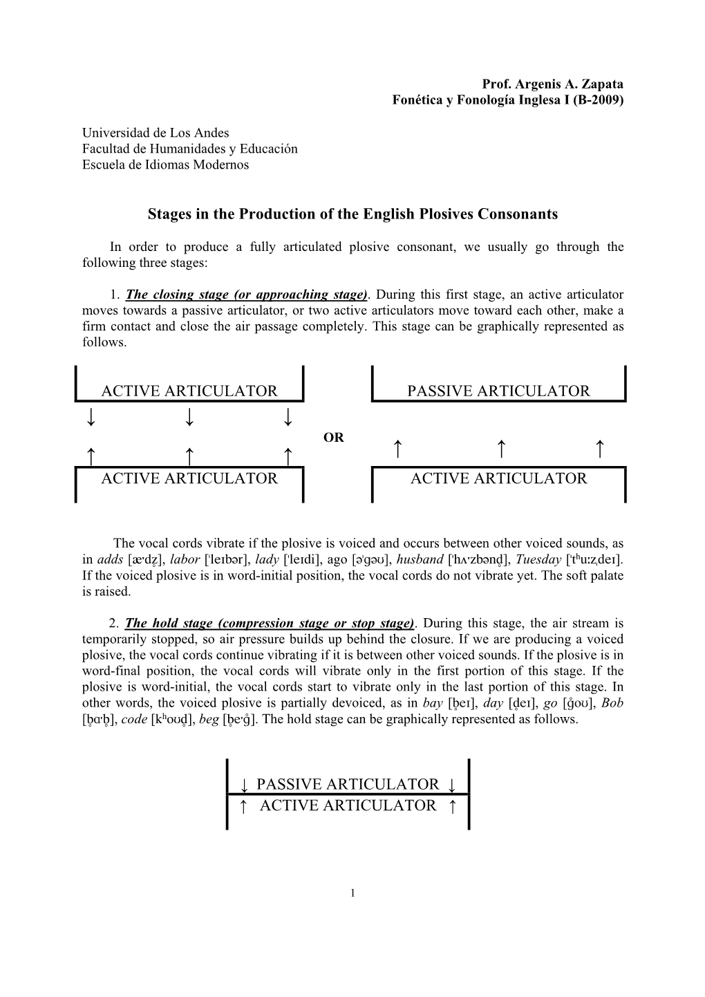 Stages in the Production of English Plosive Consonants