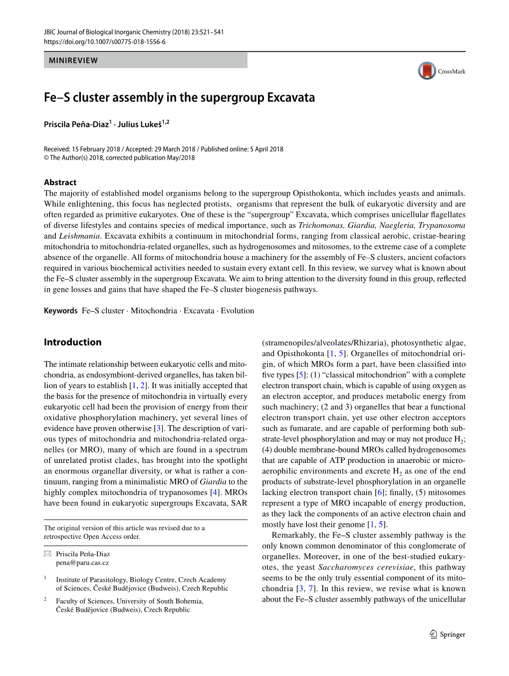 Fe–S Cluster Assembly in the Supergroup Excavata