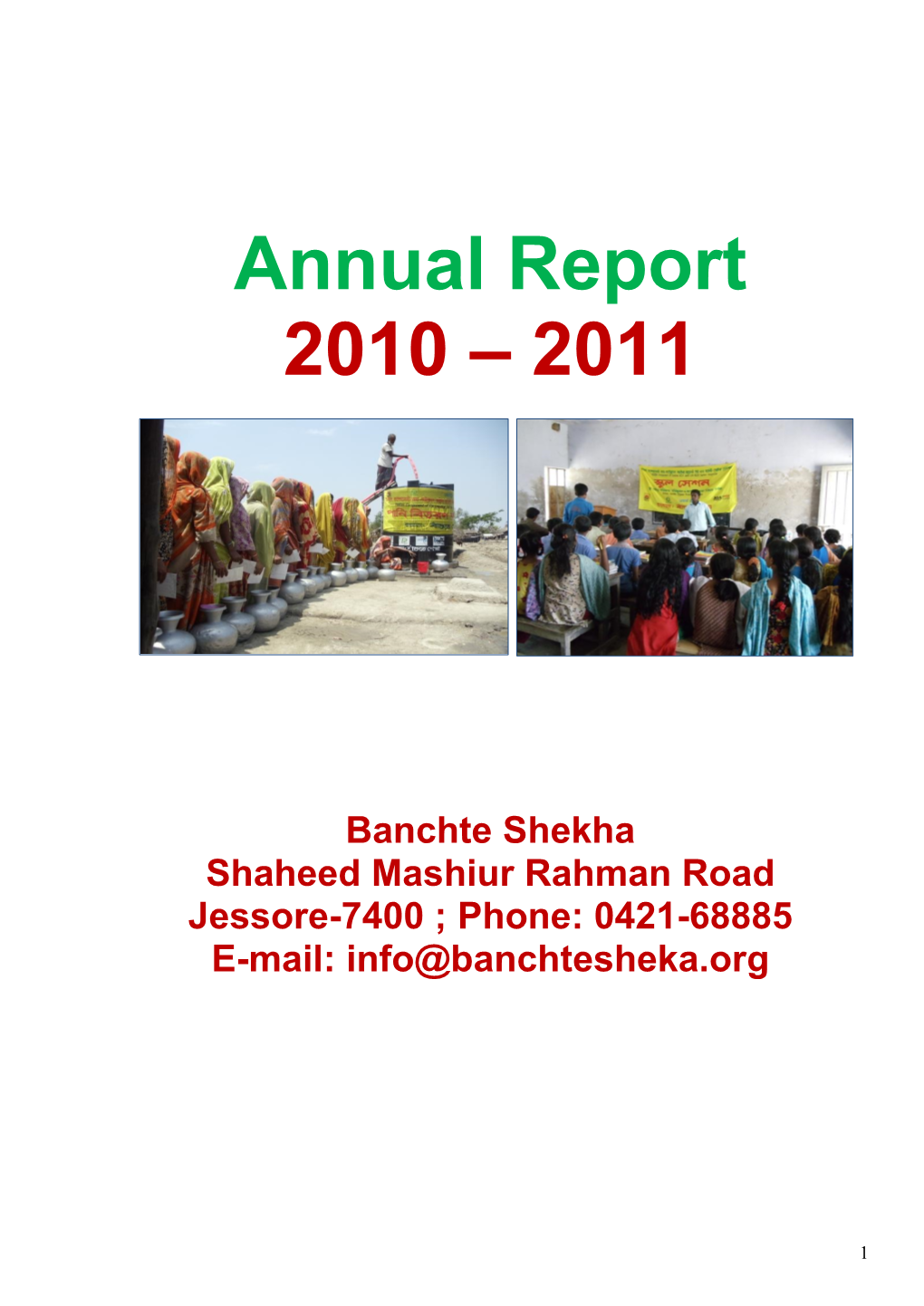 Annual Report for the Year 2010