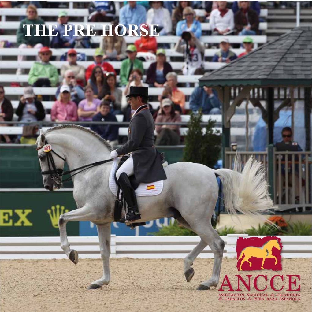 THE PRE HORSE 2 ANCCE Is the Parent PRE Association in the World