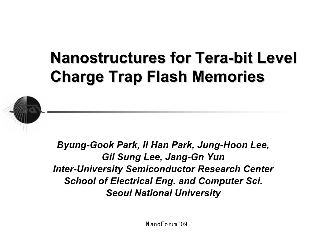 Nanostructures for Tera-Bit Level Charge Trap Flash Memories