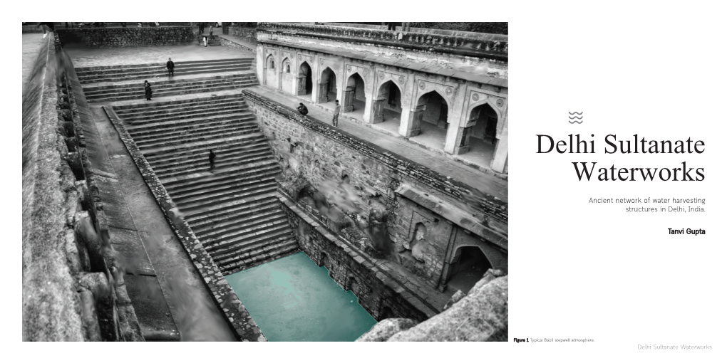 Delhi Sultanate Waterworks by Tanvi Gupta