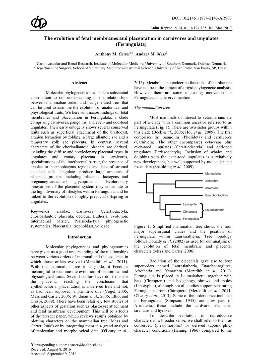 The Evolution of Fetal Membranes and Placentation in Carnivores and Ungulates (Ferungulata)