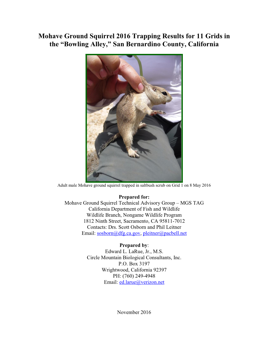 Mohave Ground Squirrel 2016 Trapping Results for 11 Grids in the “Bowling Alley,” San Bernardino County, California