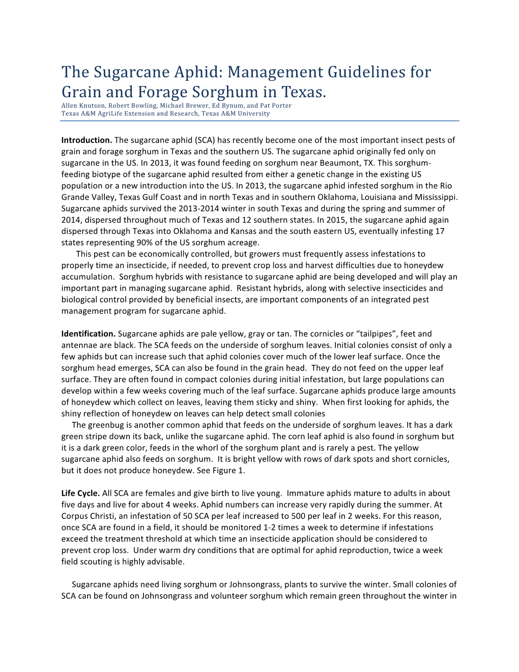 The Sugarcane Aphid: Management Guidelines for Grain and Forage Sorghum in Texas