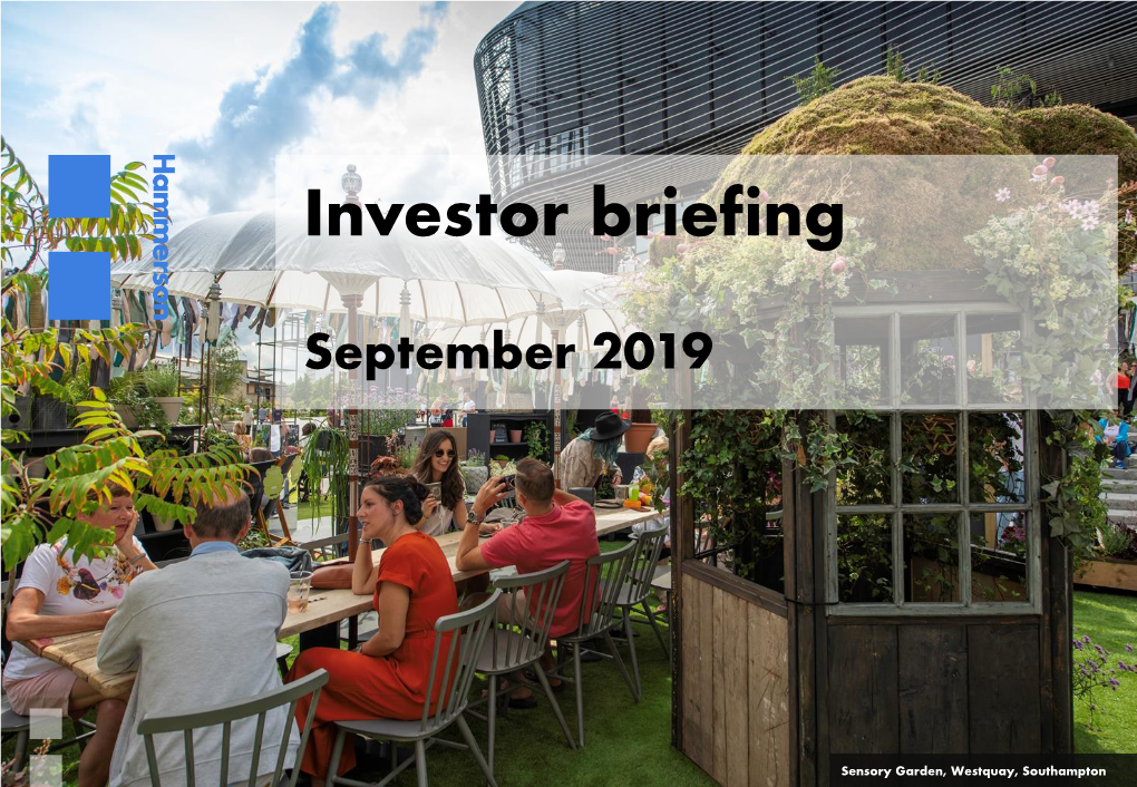 Hammerson Investor Briefing