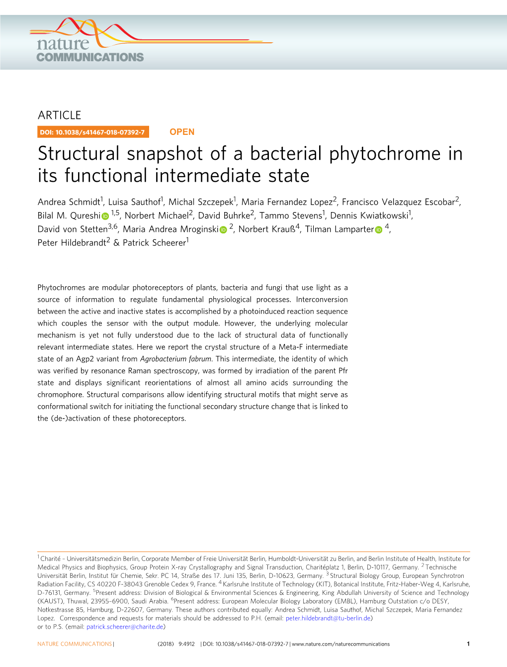 Structural Snapshot of a Bacterial Phytochrome in Its Functional Intermediate State