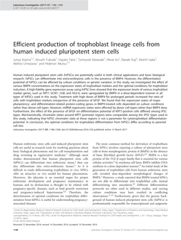 Efficient Production of Trophoblast Lineage Cells from Human Induced