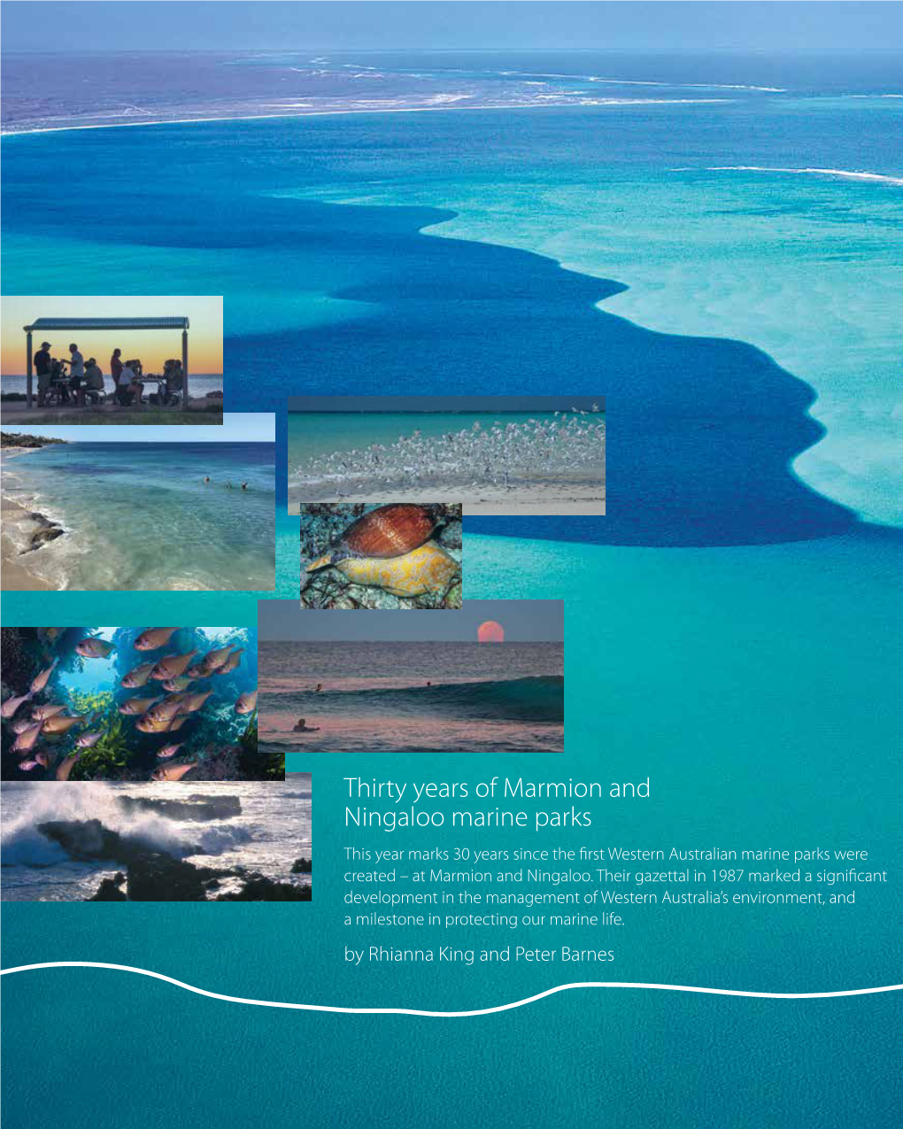 Thirty Years of Marmion and Ningaloo Marine Parks This Year Marks 30 Years Since the First Western Australian Marine Parks Were Created – at Marmion and Ningaloo