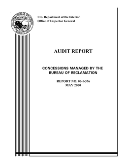 Audit Report