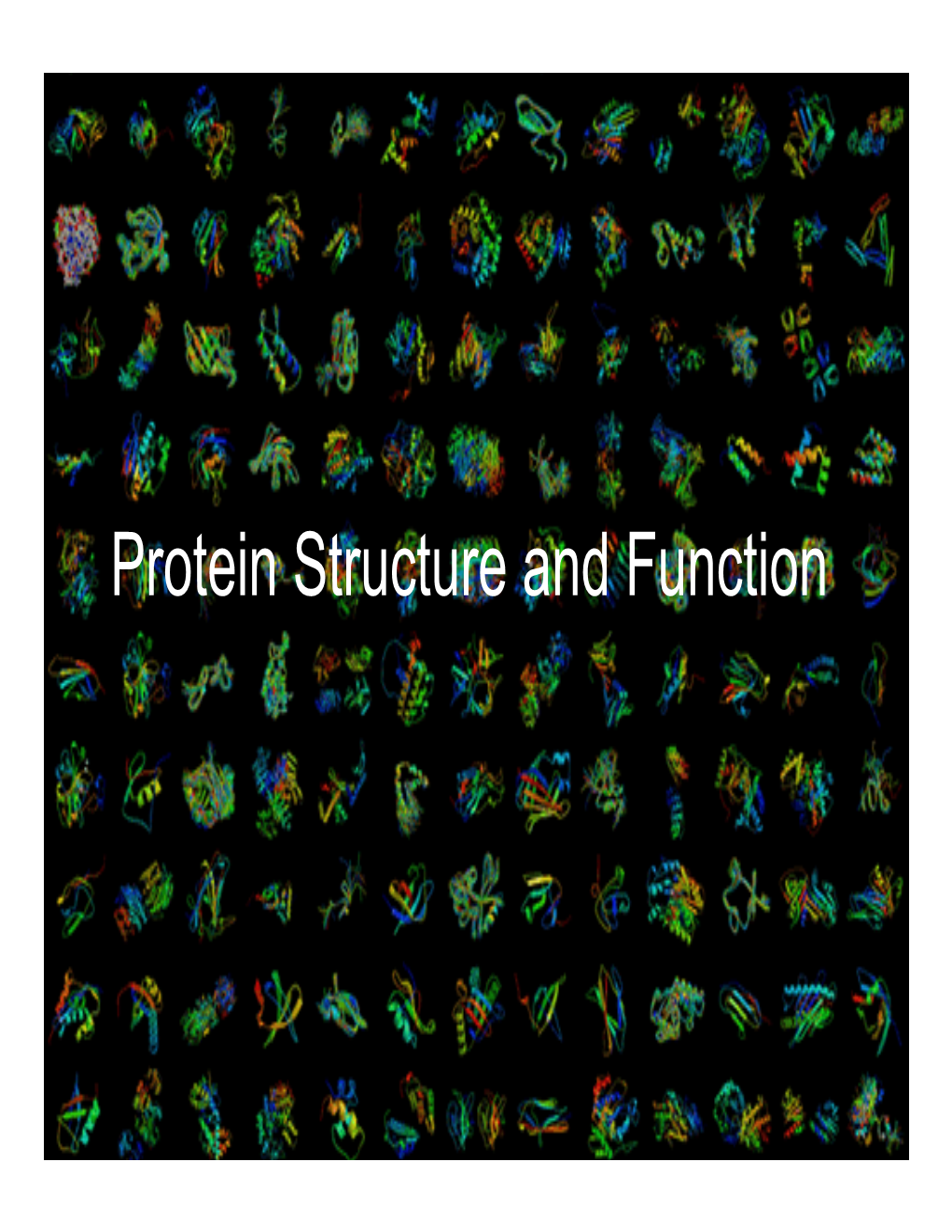 Protein Structure and Function