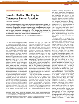 Lamellar Bodies: the Key to and Cathepsins, Are Present in Lbs (Feingold, 2007)