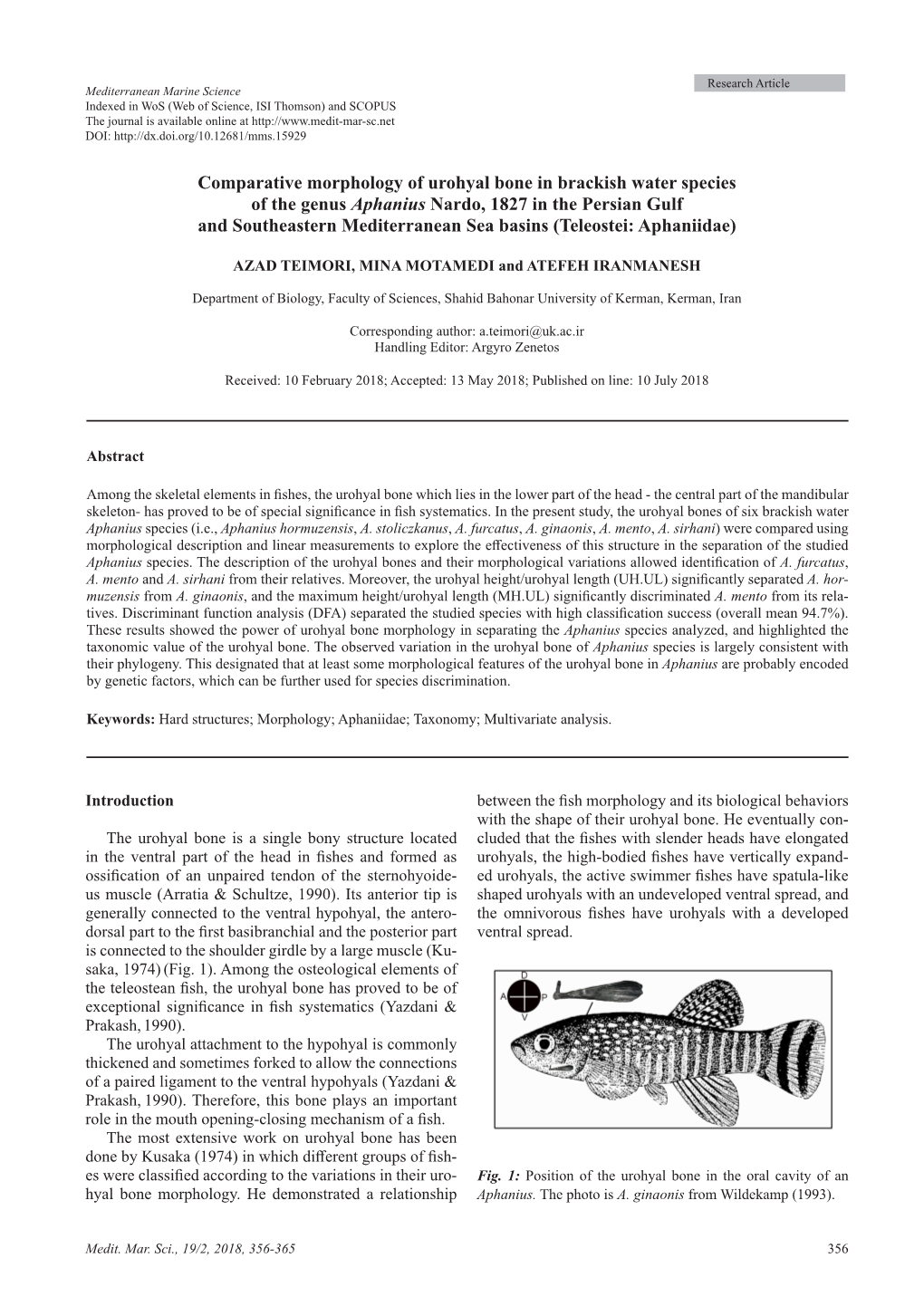 Comparative Morphology of Urohyal Bone in Brackish Water Species Of