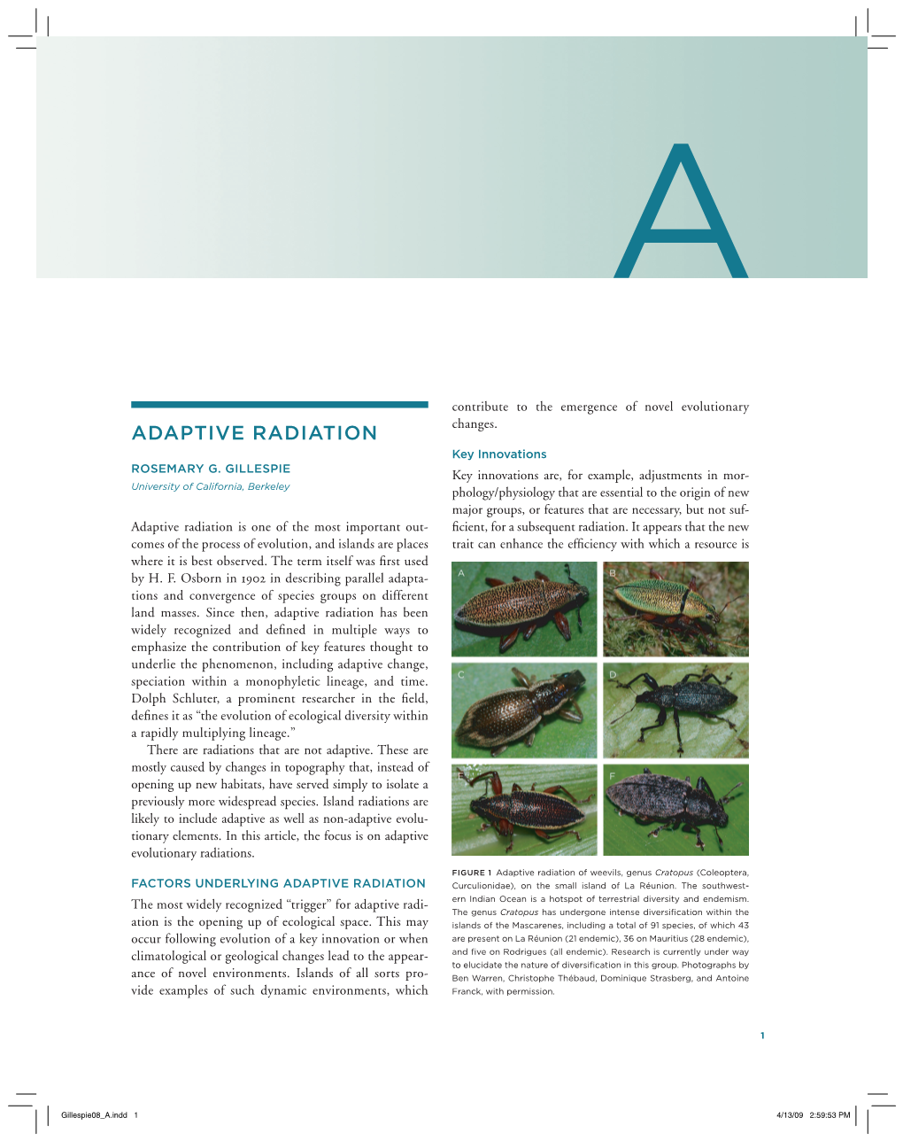 ADAPTIVE RADIATION Changes