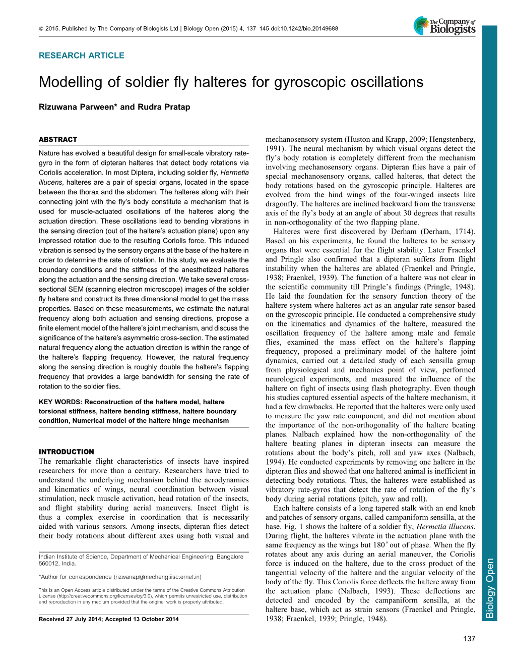 Modelling of Soldier Fly Halteres for Gyroscopic Oscillations