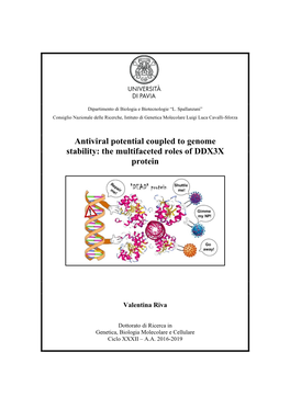 Antiviral Potential Coupled to Genome Stability: the Multifaceted Roles of DDX3X Protein