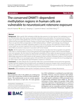 The Conserved DNMT1-Dependent Methylation Regions in Human Cells