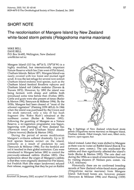 The Recolonisation of Mangere Island by New Zealand White-Faced Storm Petrels (Pelagodroma Marina Maoriana)