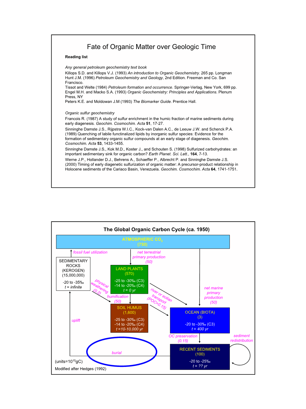 Fate of Organic Matter Over Geologic Time