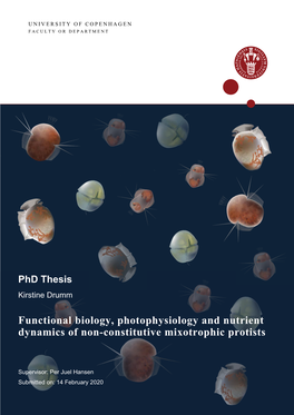 Functional Biology, Photophysiology and Nutrient Dynamics of Non-Constitutive Mixotrophic Protists