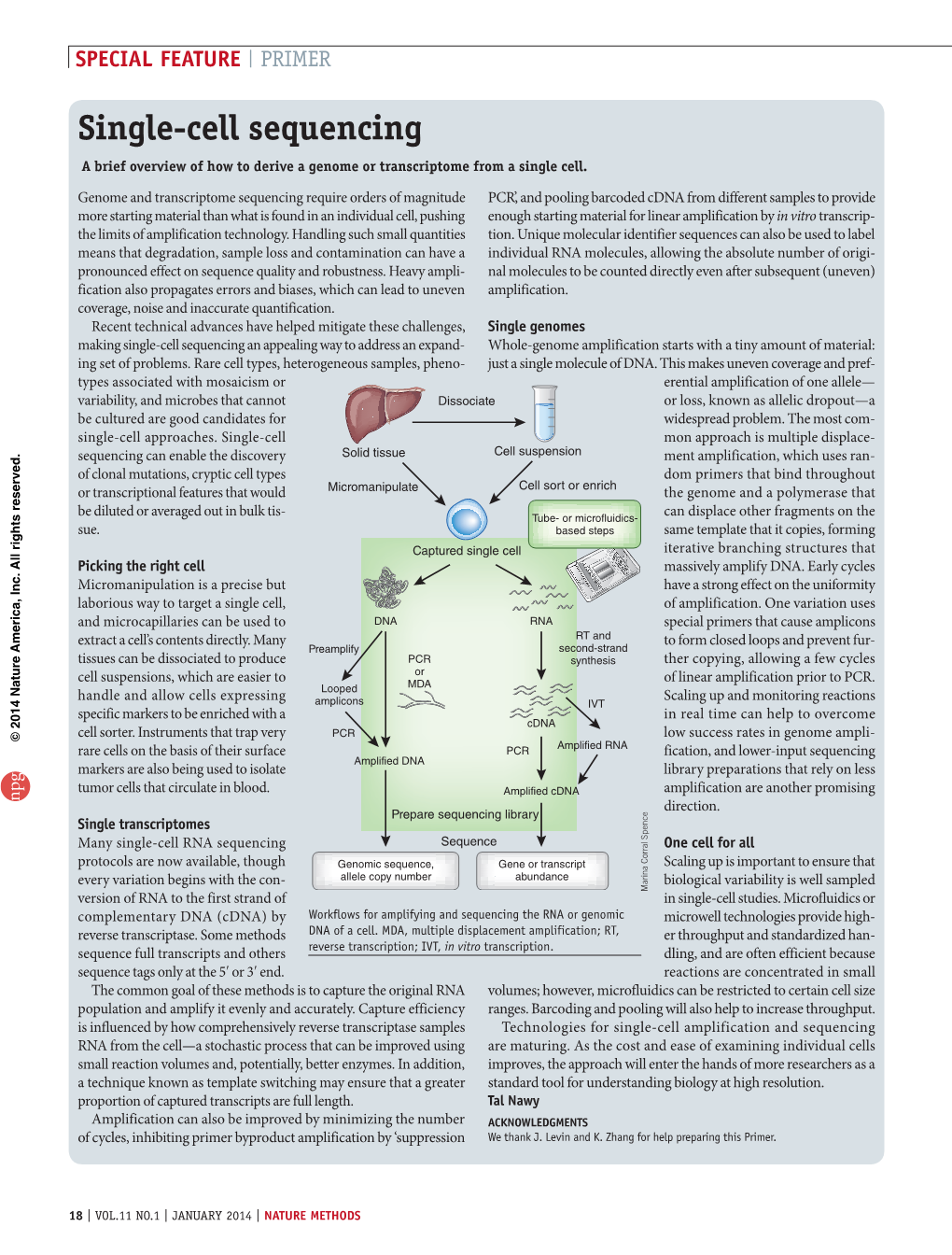 Single-Cell Sequencing a Brief Overview of How to Derive a Genome Or Transcriptome from a Single Cell