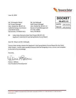 Docket 08-Afc-13 Date Jun 16 2010