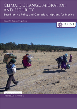 Climate Change and Migration in Mexico: a Report