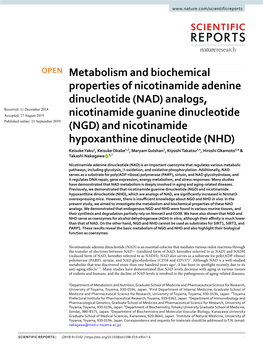 Metabolism and Biochemical Properties of Nicotinamide