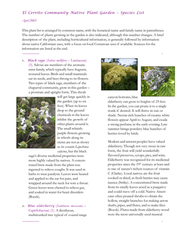 El Cerrito Community Native Plant Garden – Species List April 2005