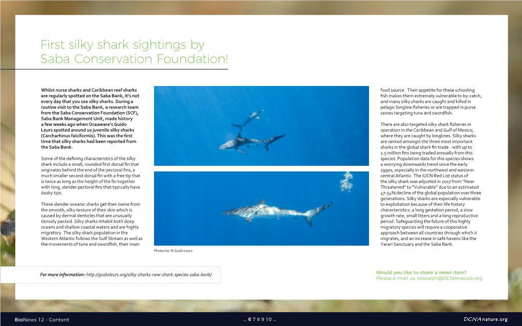 First Silky Shark Sightings by Saba Conservation Foundation!