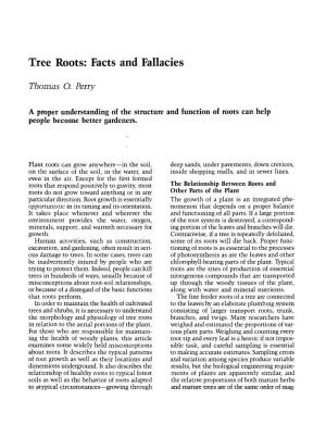 Tree Roots: Facts and Fallacies