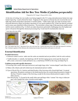 Identification Aid for Box Tree Moths (Cydalima Perspectalis) Prepared by J.D
