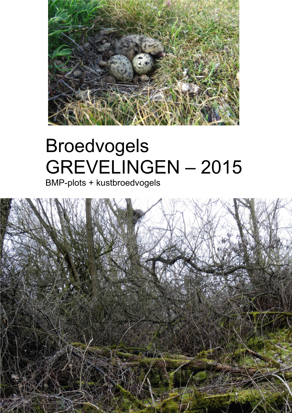 Broedvogels GREVELINGEN – 2015 BMP-Plots + Kustbroedvogels