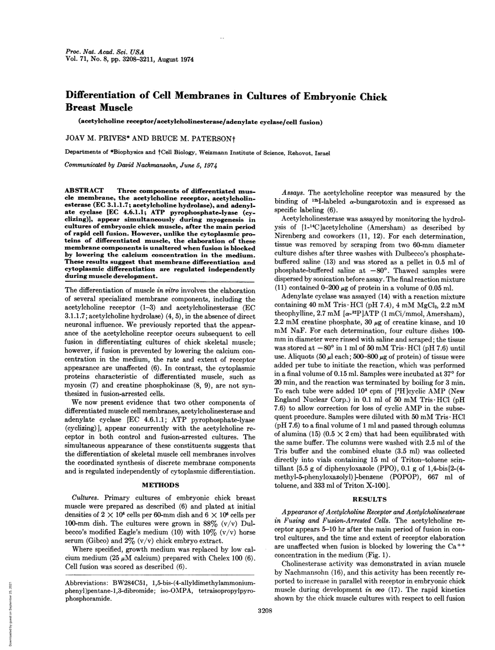 Differentiation of Cell Membranes in Cultures of Embryonic Chick Breast Muscle (Acetylcholine Receptor/Acetylcholinesterase/Adenylate Cyclase/Cell Fusion) JOAV M