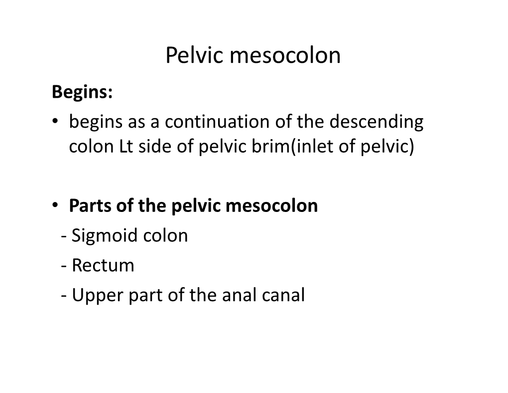 Pelvic Mesocolon Begins: • Begins As a Continuation of the Descending Colon Lt Side of Pelvic Brim(Inlet of Pelvic)