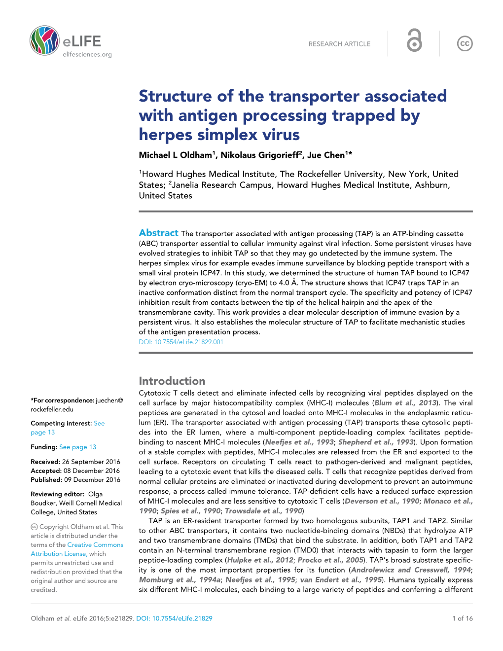 Structure of the Transporter Associated with Antigen Processing Trapped by Herpes Simplex Virus Michael L Oldham1, Nikolaus Grigorieff2, Jue Chen1*
