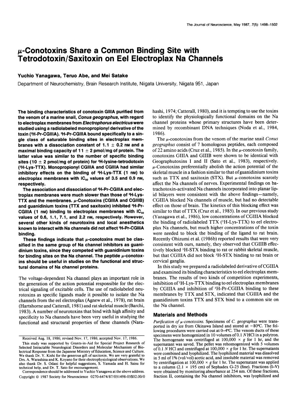 P-Conotoxins Share a Common Binding Site with Tetrodotoxin/Saxitoxin on Eel Electroplax Na Channels