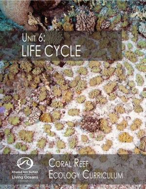 U6-Life-Cycle-Background.Pdf