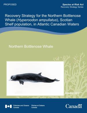 Northern Bottlenose Whale Recovery Strategy for the Northern Bottlenose Whale (Hyperoodon Ampullatus), Scotian Shelf Population