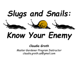 Slugs & Snails Documents