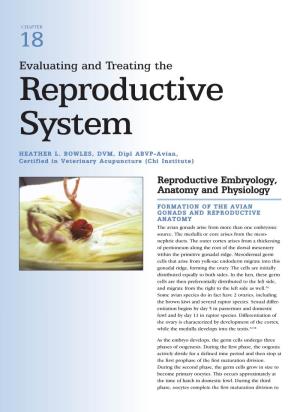 Evaluating and Treating the Reproductive System