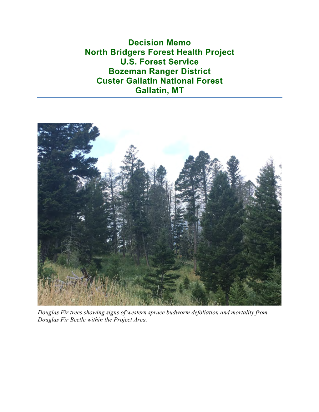 Decision Memo North Bridgers Forest Health Project U.S. Forest Service Bozeman Ranger District Custer Gallatin National Forest Gallatin, MT