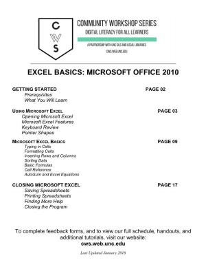 Excel Basics: Microsoft Office 2010