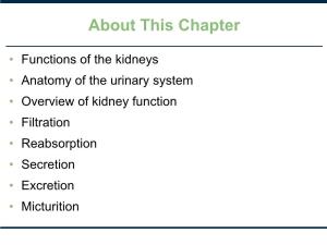 Kidney Function • Filtration • Reabsorption • Secretion • Excretion • Micturition