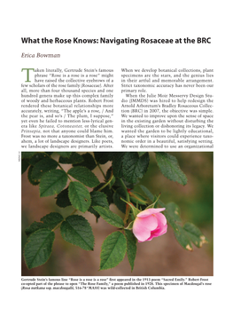 What the Rose Knows: Navigating Rosaceae at the BRC