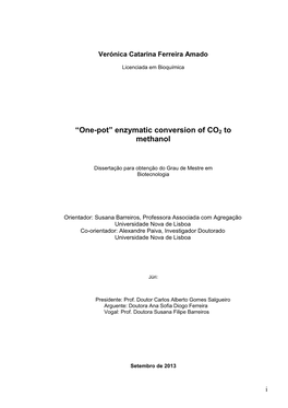 Enzymatic Conversion of CO2 to Methanol