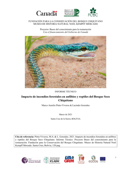 Impacto De Incendios Forestales En Anfibios Y Reptiles Del Bosque Seco Chiquitano